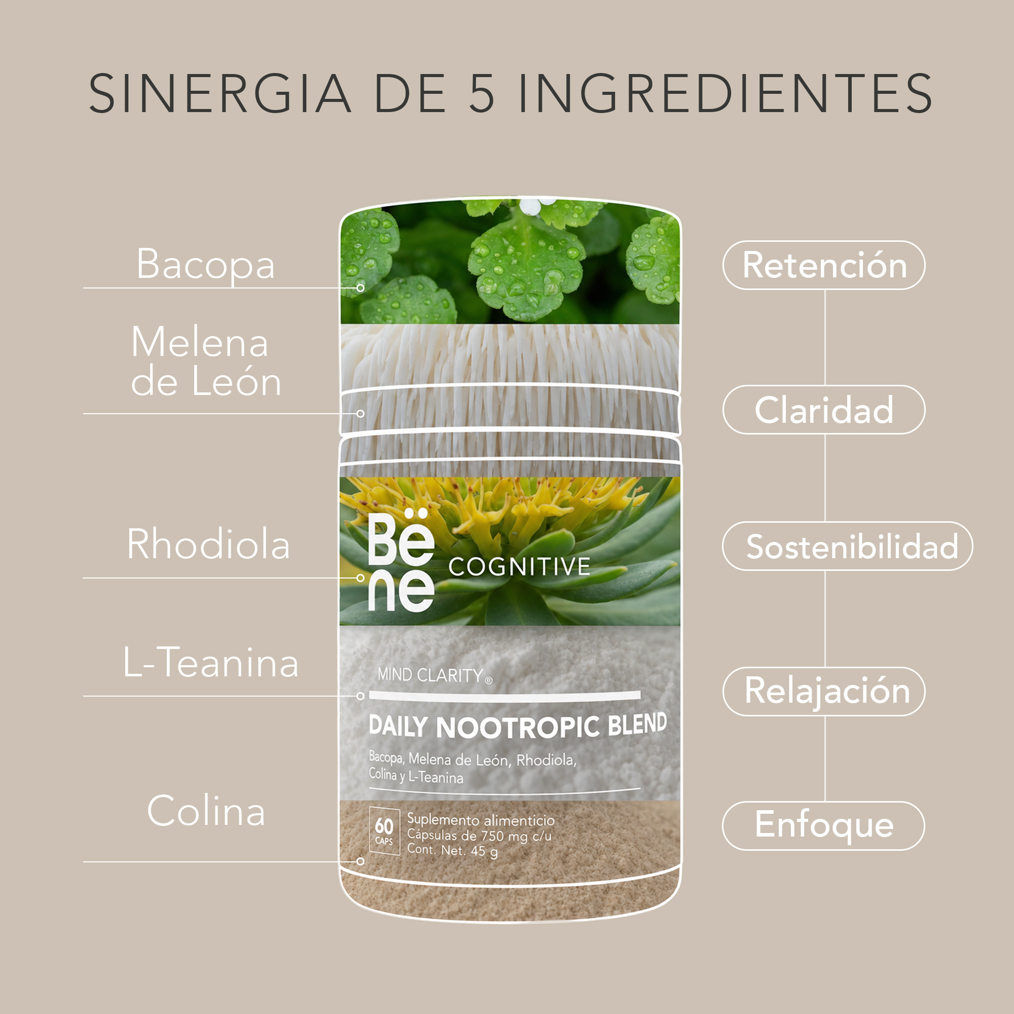 Daily Nootropic Blend BENE
